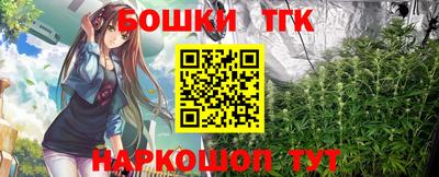 индика Нягань