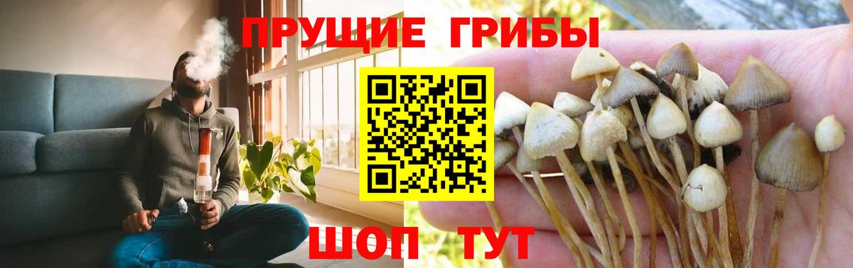 Пыть-Ях  Псилоцибиновые грибы GOLDEN TEACHER  Вход с VPN 